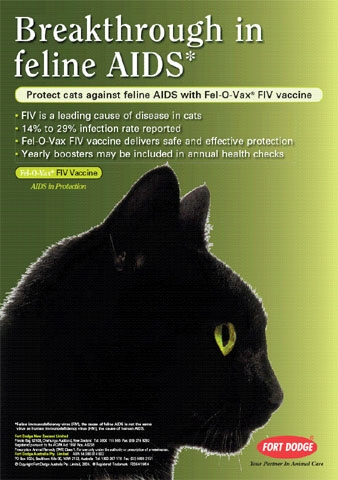 Fiv vaccine - CAt clinic Burwood -Dr Phil Sacks