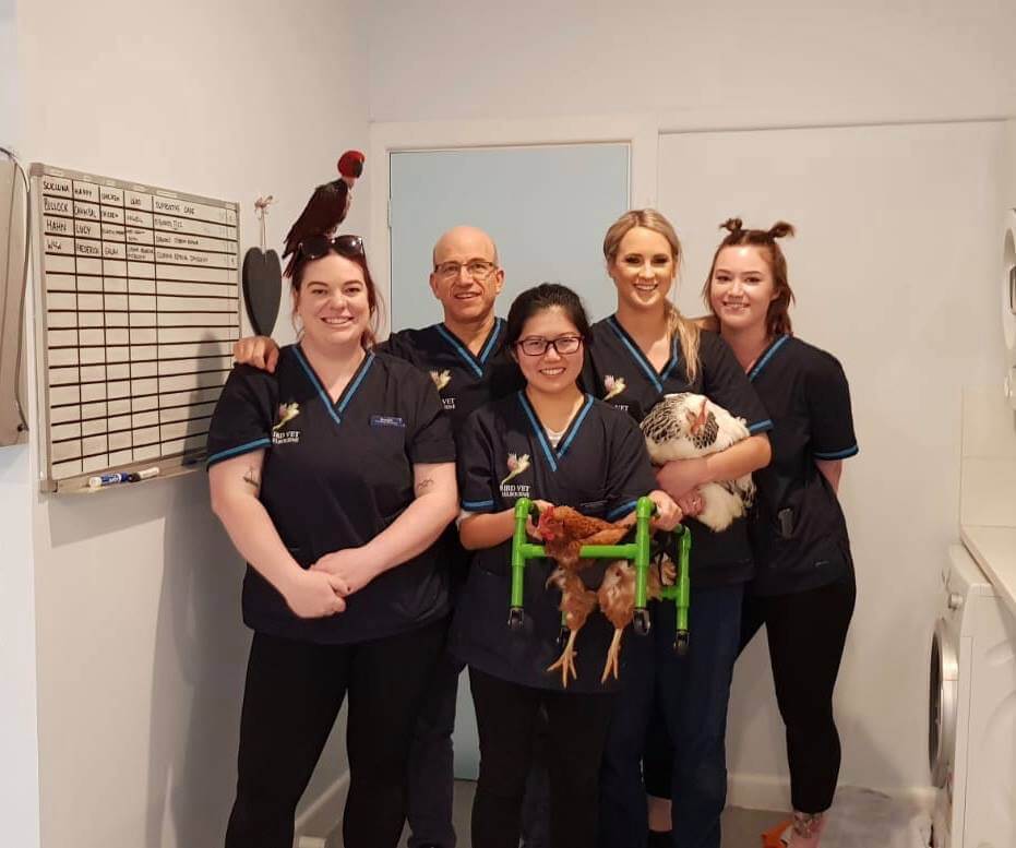 Bird Vet Melbourne Team – Avian Veterinarians