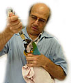 Bird Vet Melbourne veterinarian holding a macaw