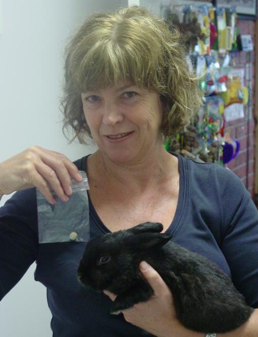 Rabbit Vet Melbourne, Rabbits make great pets -