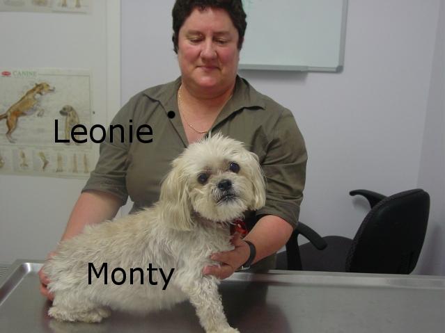 Lymphoma in Dog on Chemotherapy - Dog Vet Dr Phil