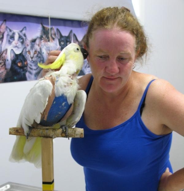 Cockatoo vet -Avian specialists